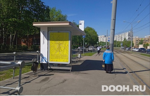 GID: MSCF28505Б