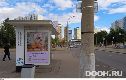 GID: MSCF28446Б