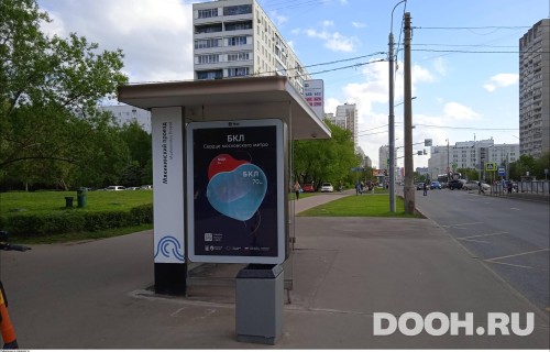 GID: MSCF28444Б