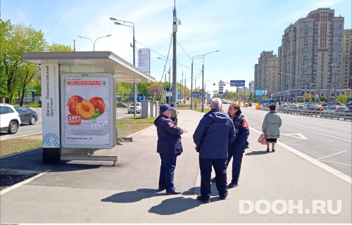 GID: MSCF25939Б