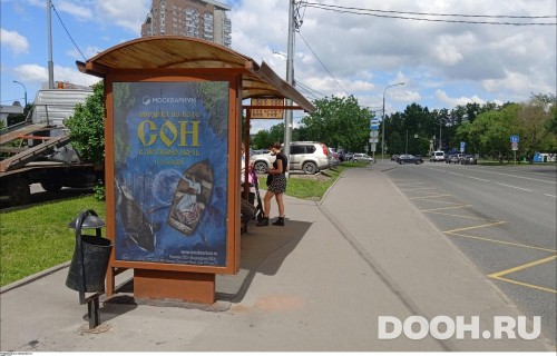 GID: MSCF26069Б
