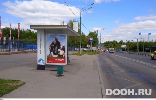 GID: MSCF30981Б
