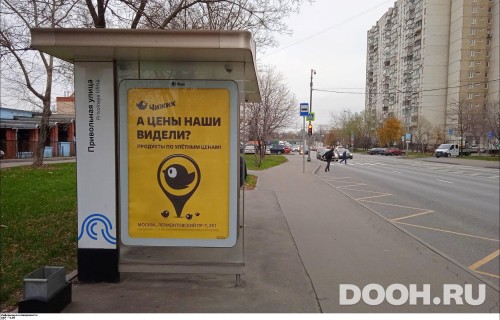 GID: MSCF23079Б