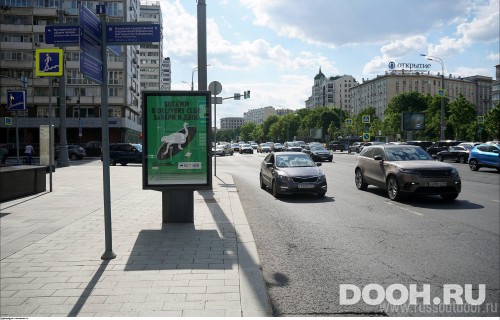 GID: MSCF07511Б