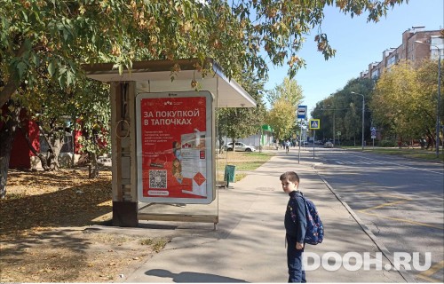GID: MSCF29834Б