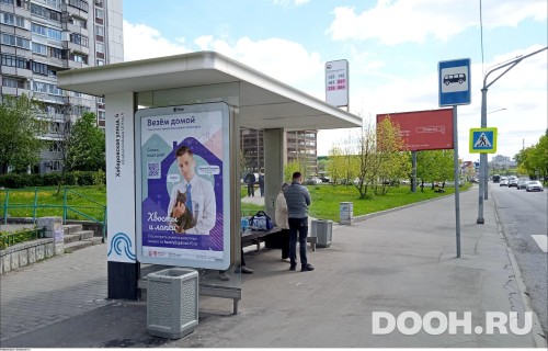 GID: MSCF25242Б