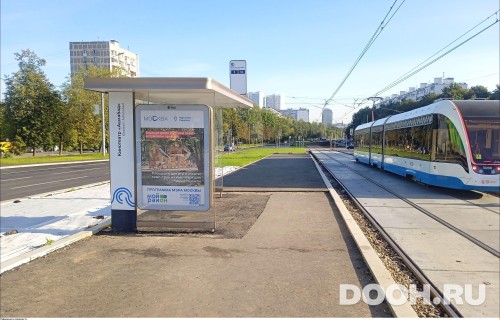 GID: MSCF31642Б