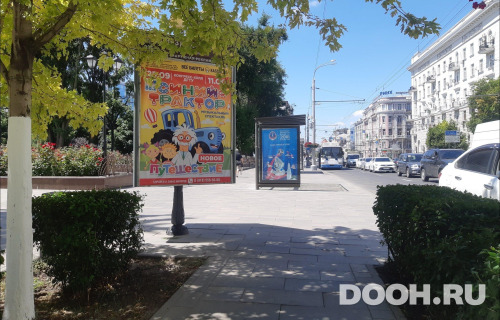 GID: RSCF05805Б