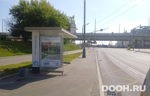 GID: MSCF31804Б
