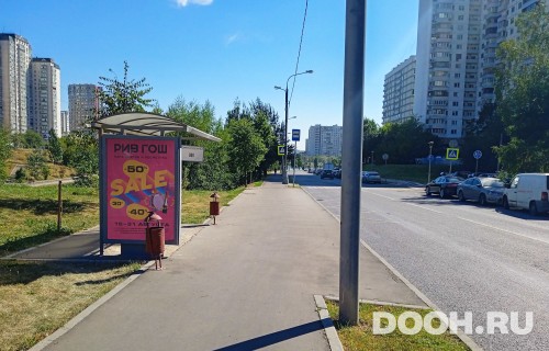 GID: MSCF31831Б