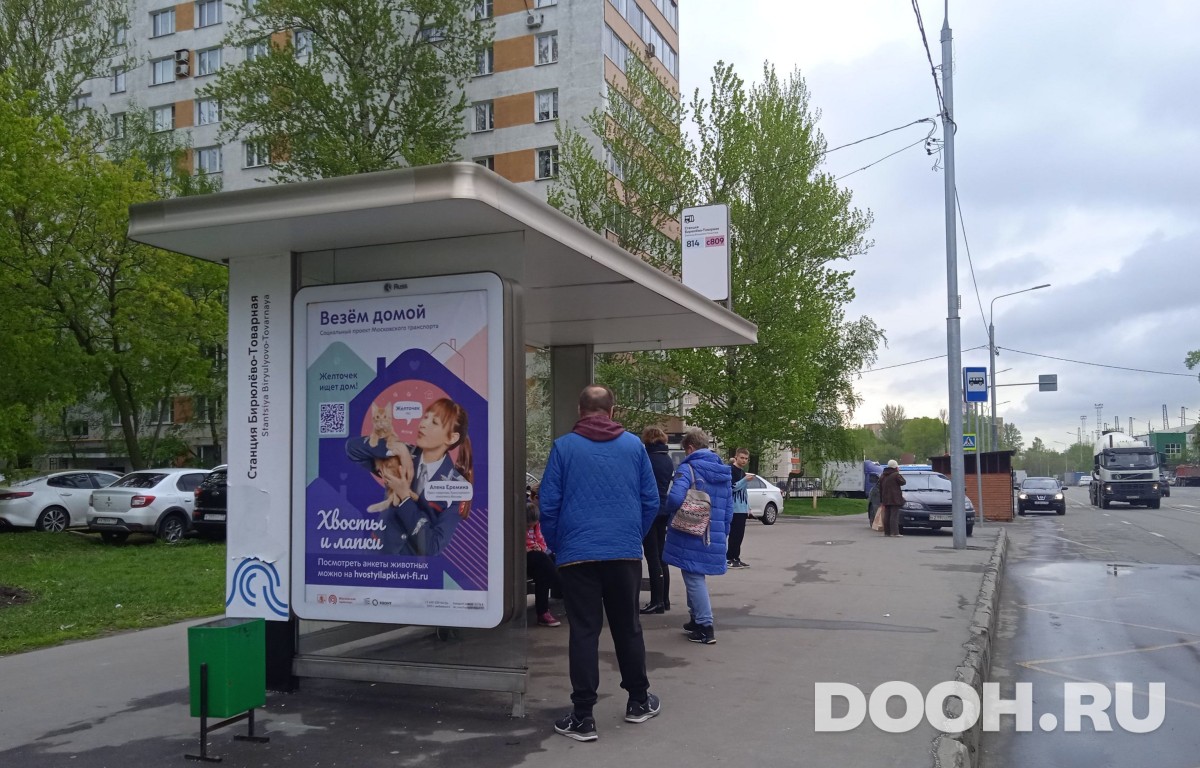 GID MSCF31174Б