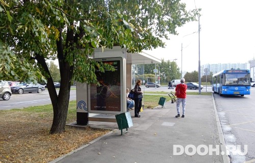 GID: MSCF34370Б