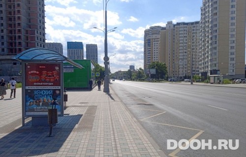 GID: MSCF27908Б