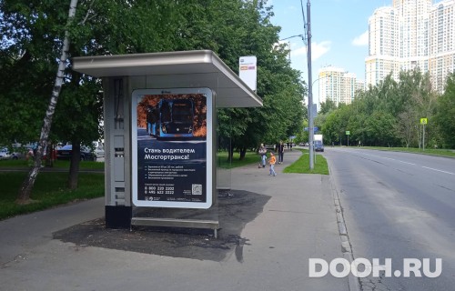GID: MSCF31347Б