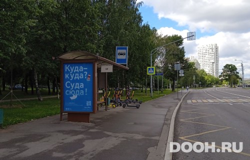 GID: MSCF31072Б