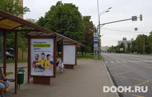GID: MSCF30204Б