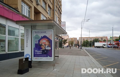 GID: MSCF04906Б