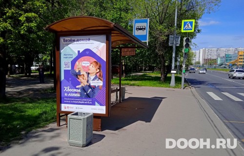 GID: MSCF25455Б