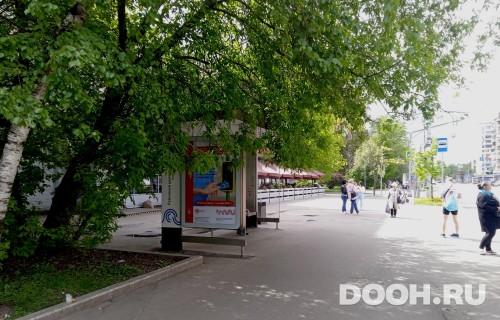 GID: MSCF22981Б