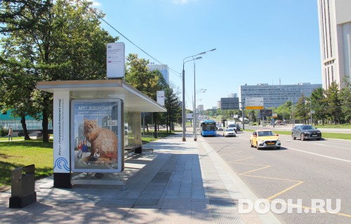 GID: MSCF03727Б
