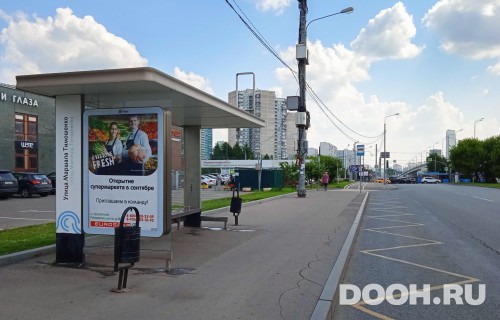 GID: MSCF25486Б