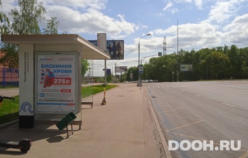 GID: MSCF30081Б