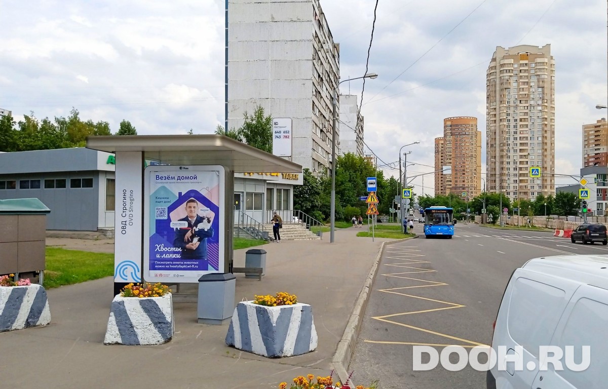 GID MSCF28149Б