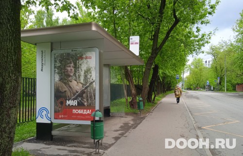 GID: MSCF25654Б