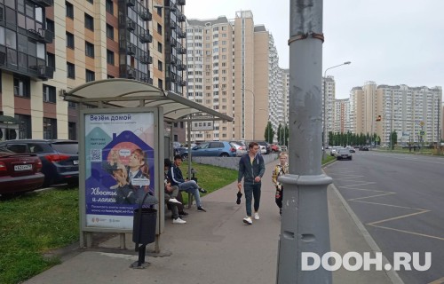 GID: MSCF32084Б