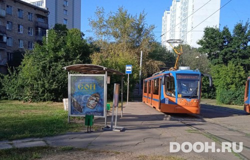 GID: MSCF30697Б