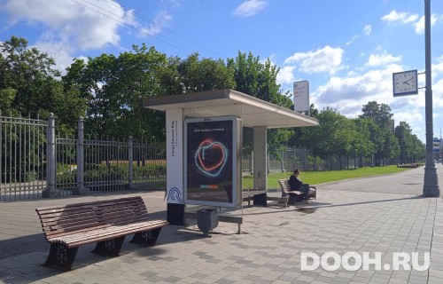 GID: MSCF27848Б