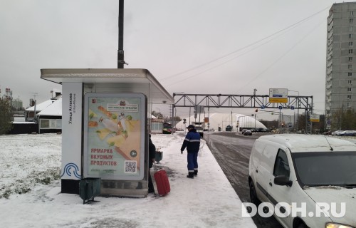 GID: MSCF06503Б