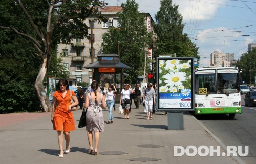 GID: SPCF03855Б