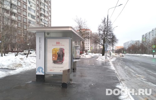 GID: MSCF31305Б