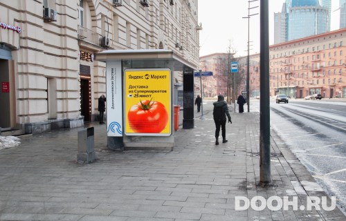 GID: MSCF05113Б1