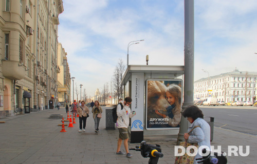GID: MSCF00312Б1
