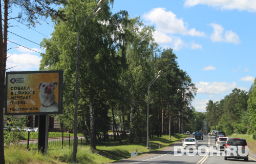 GID: MORB00569Б5