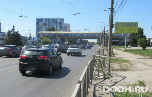 GID: rzn155