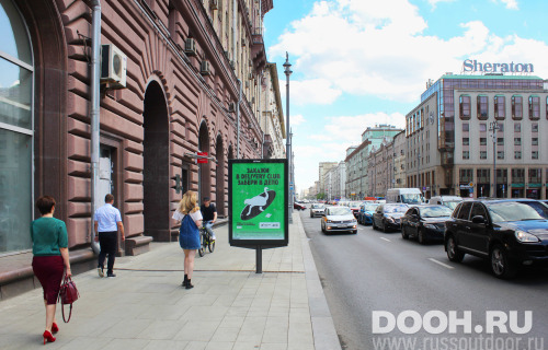 GID: MSCF05662Б
