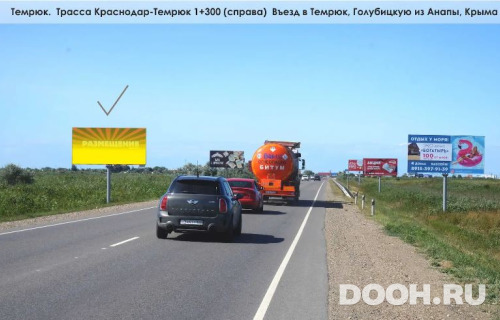 GID: KRDTMR-1296-В*
