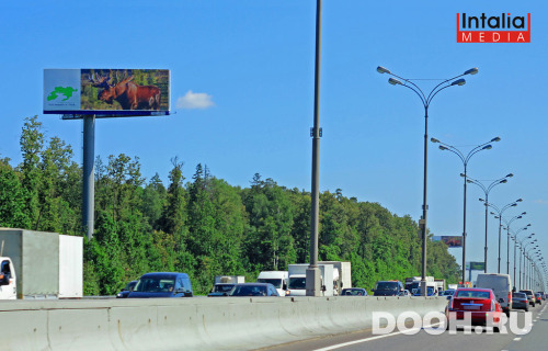 GID: 555Б